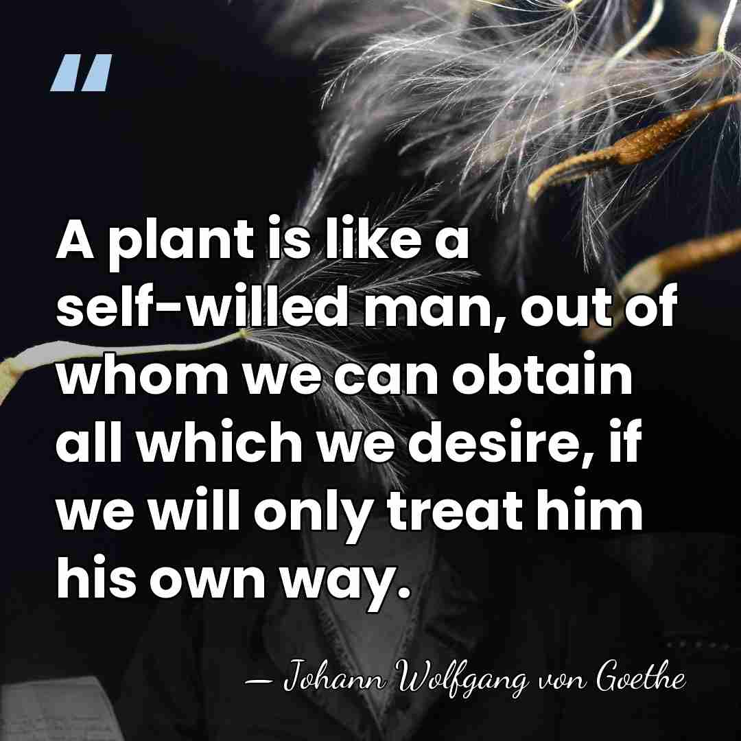 A plant is like a self-willed man, out of whom we can&hellip; - Johann Wolfgang von Goethe