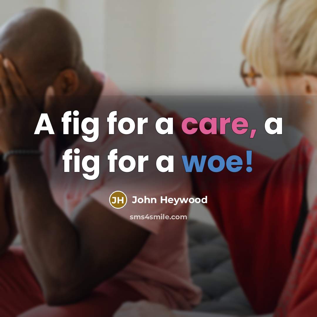 “A fig for a care, a fig for a woe!…” quote by John Heywood