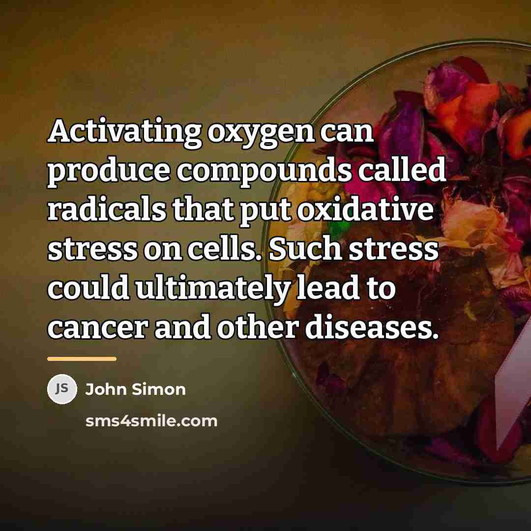“Activating oxygen can produce compounds called radicals that put oxidative…” quote by John Simon