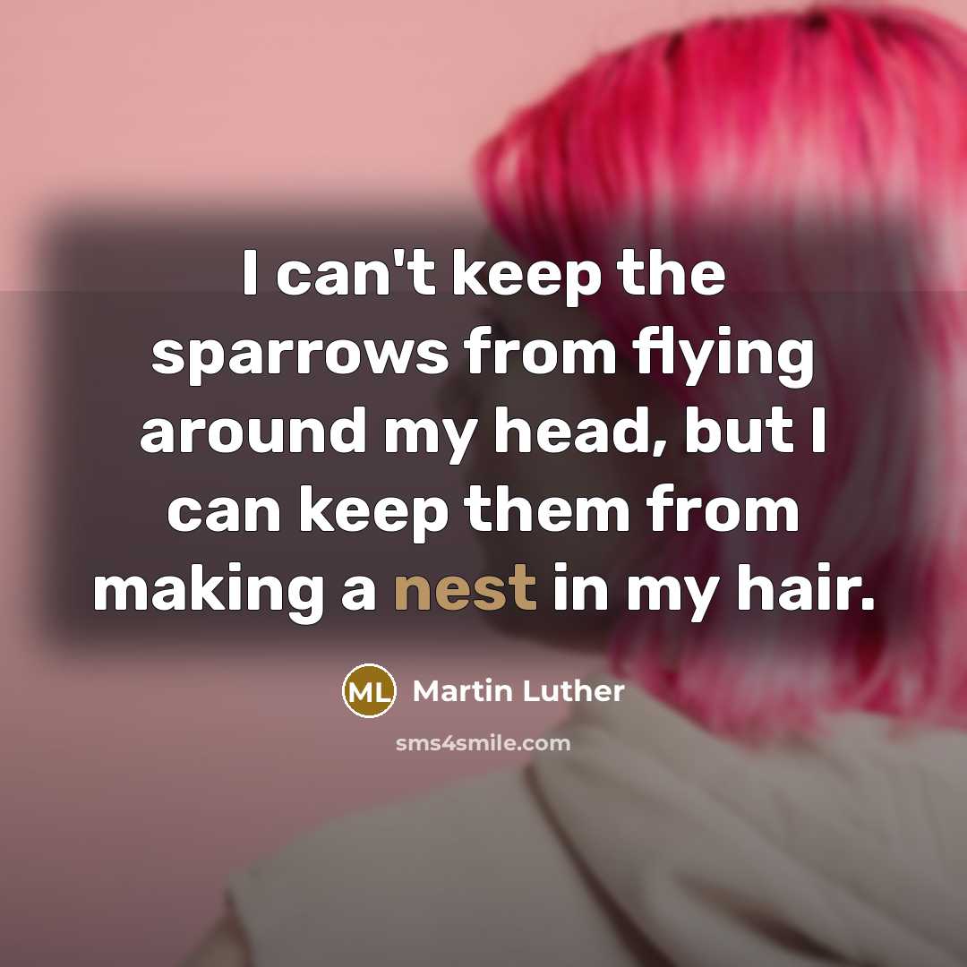 “I can't keep the sparrows from flying around my head,…” quote by Martin Luther