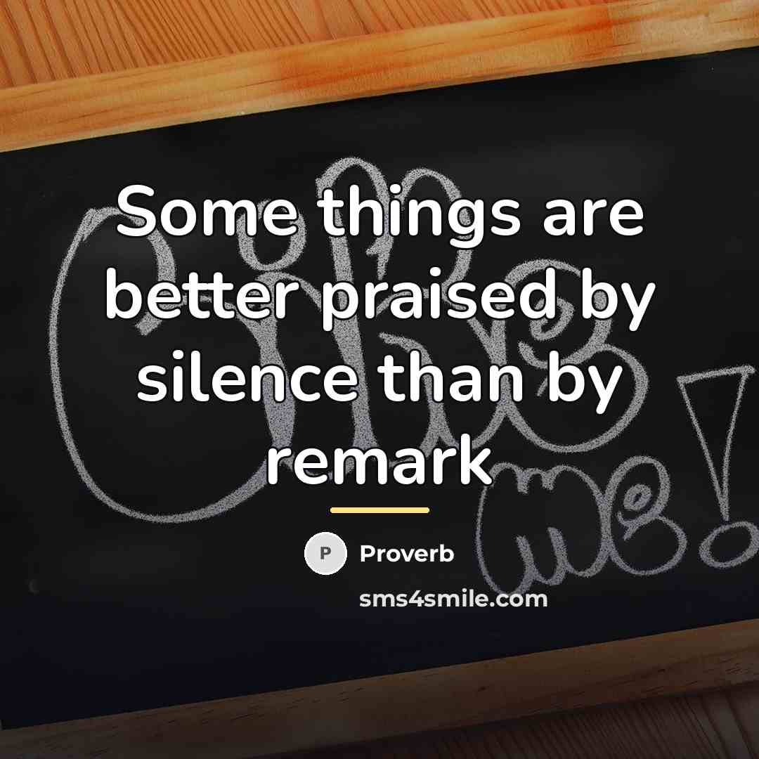 “Some things are better praised by silence than by remark…” quote by Proverb