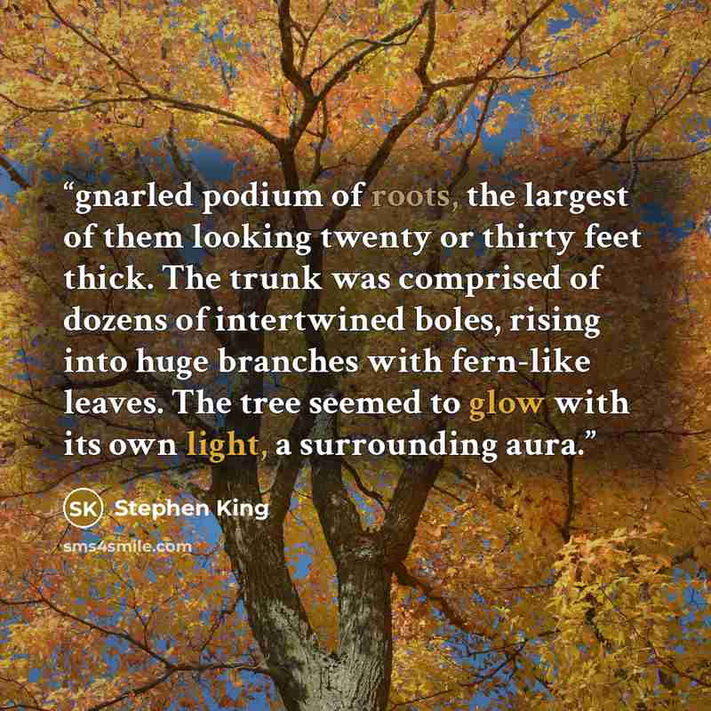 “gnarled podium of roots, the largest of them looking twenty or thirty feet thick. The trunk was comprised of dozens of intertwined boles, rising into huge branches with fern-like leaves. The tree seemed to glow with its own light, a surrounding aura.” quote by Stephen King