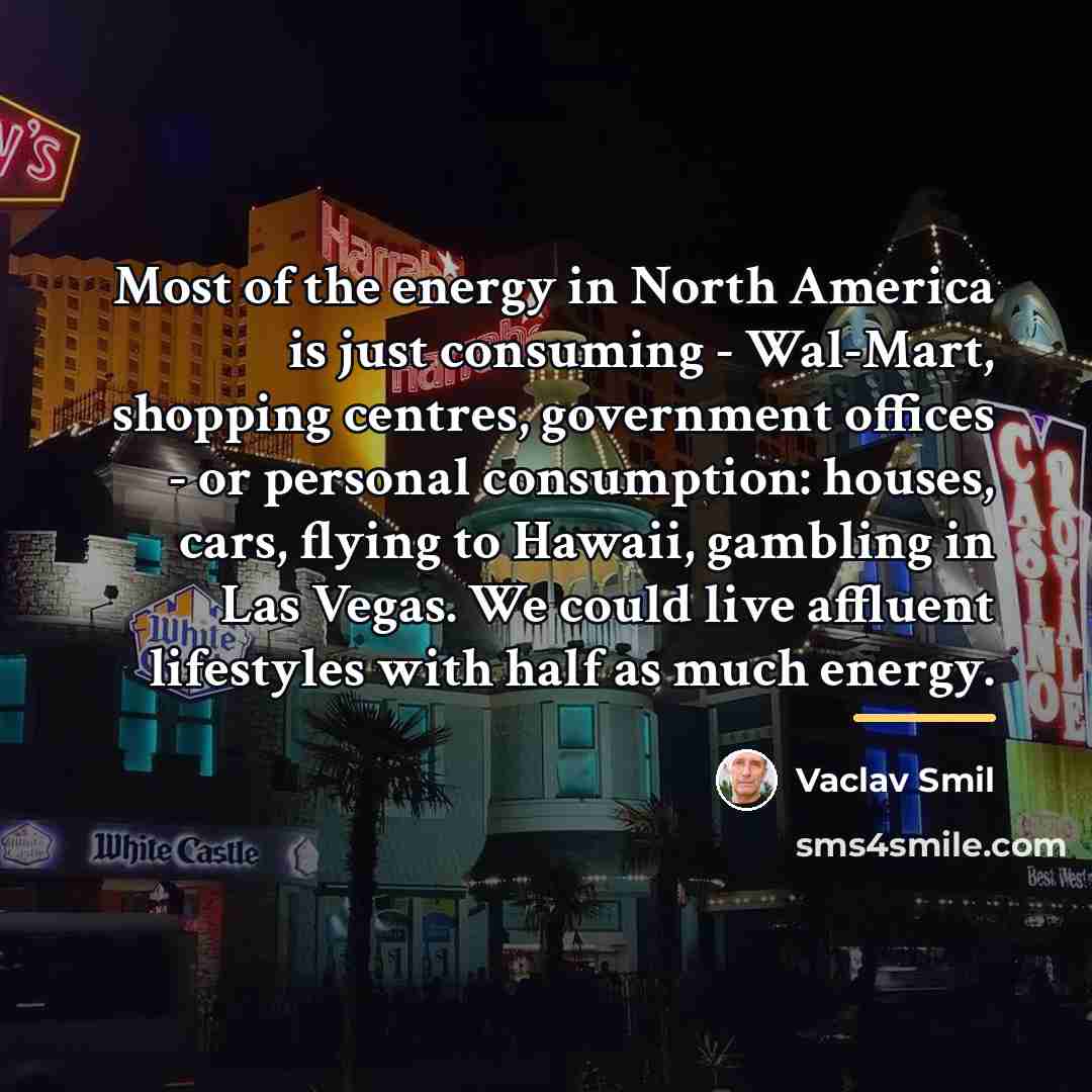 “Most of the energy in North America is just consuming…” quote by Vaclav Smil