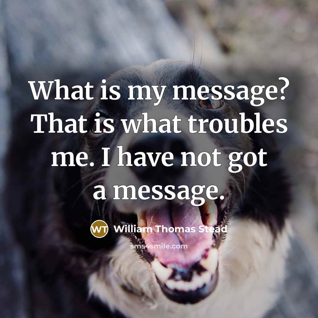 “What is my message? That is what troubles me. I…” quote by William Thomas Stead