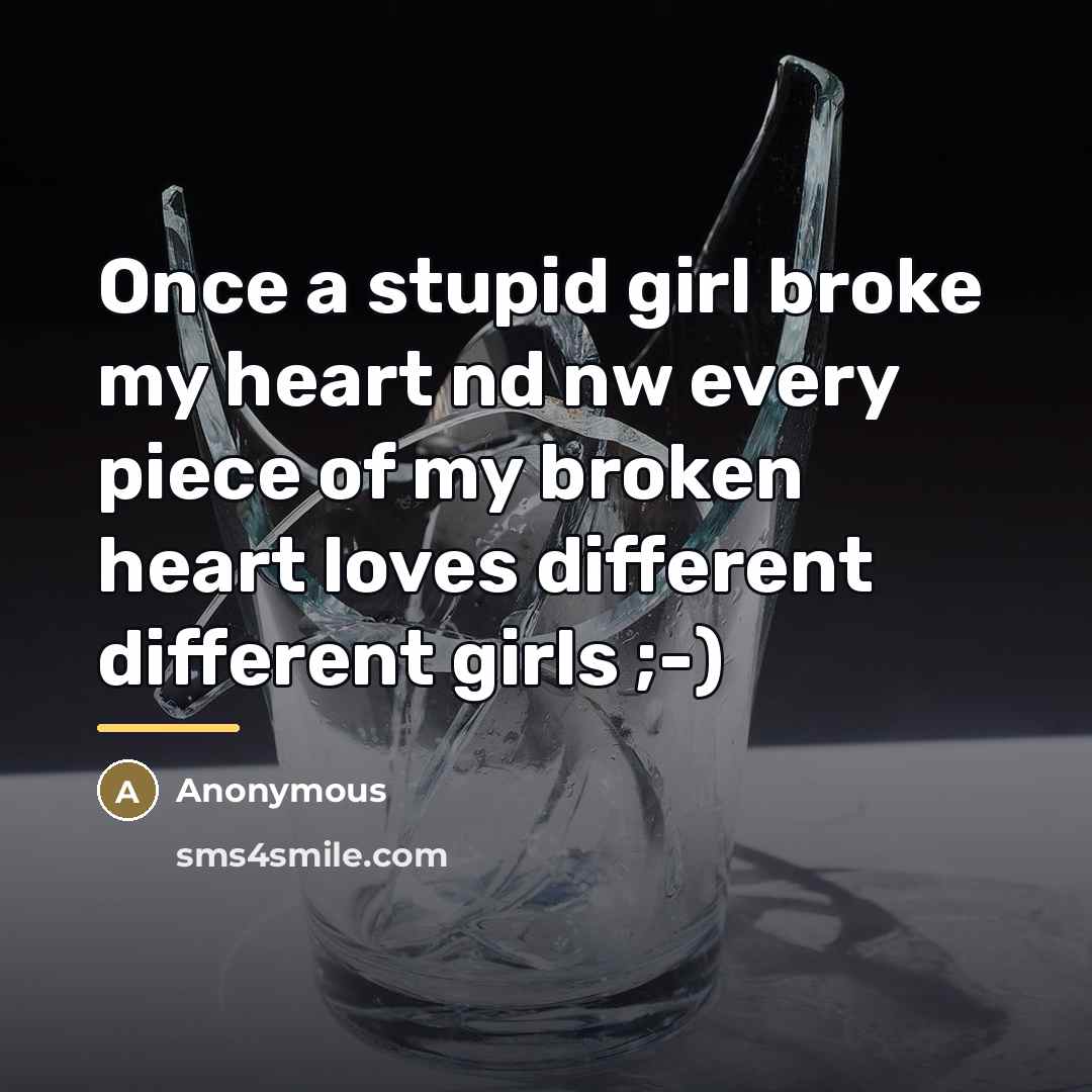 “Once a stupid girl broke my heart nd nw every…” quote by Anonymous