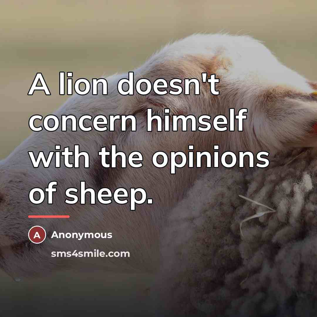 “A lion doesn't concern himself with the opinions of sheep.…” quote by Anonymous
