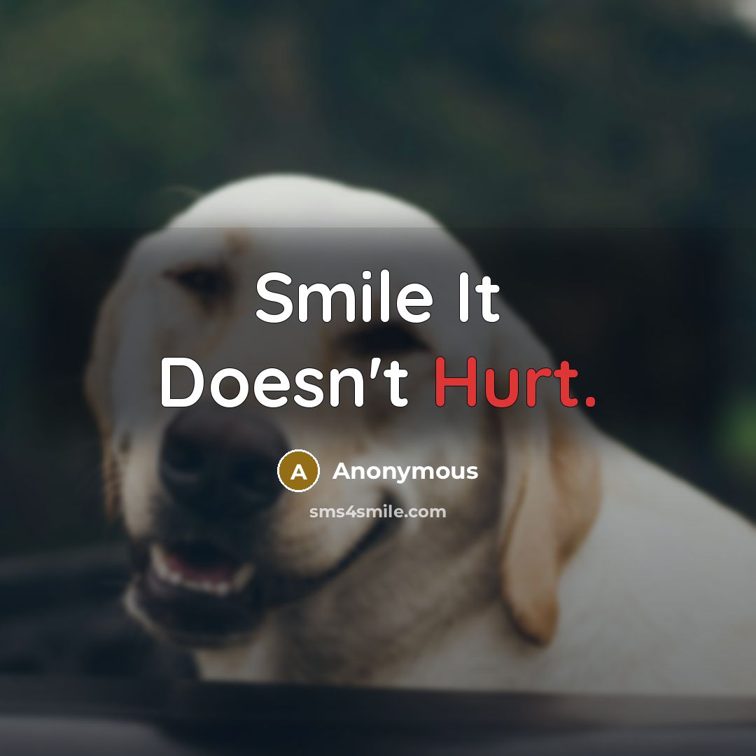 “Smile It Doesn't Hurt.” quote by Anonymous