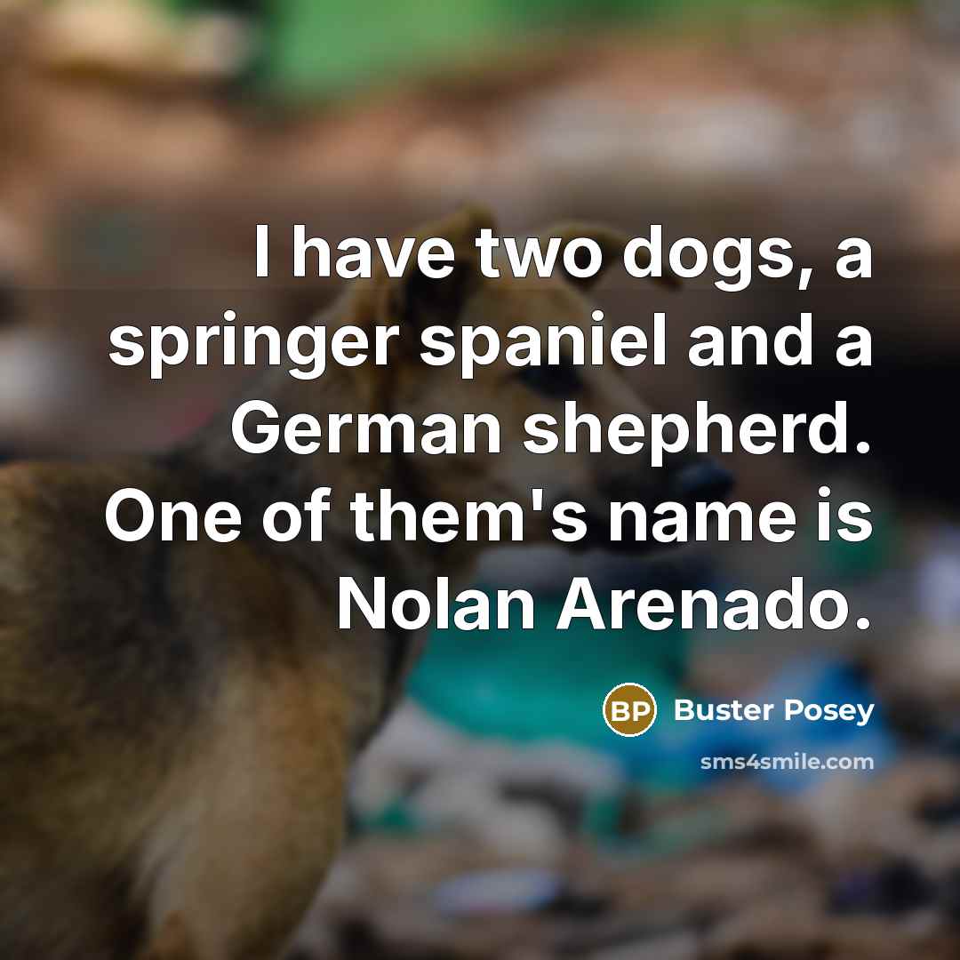 “I have two dogs, a springer spaniel and a German…” quote by Buster Posey