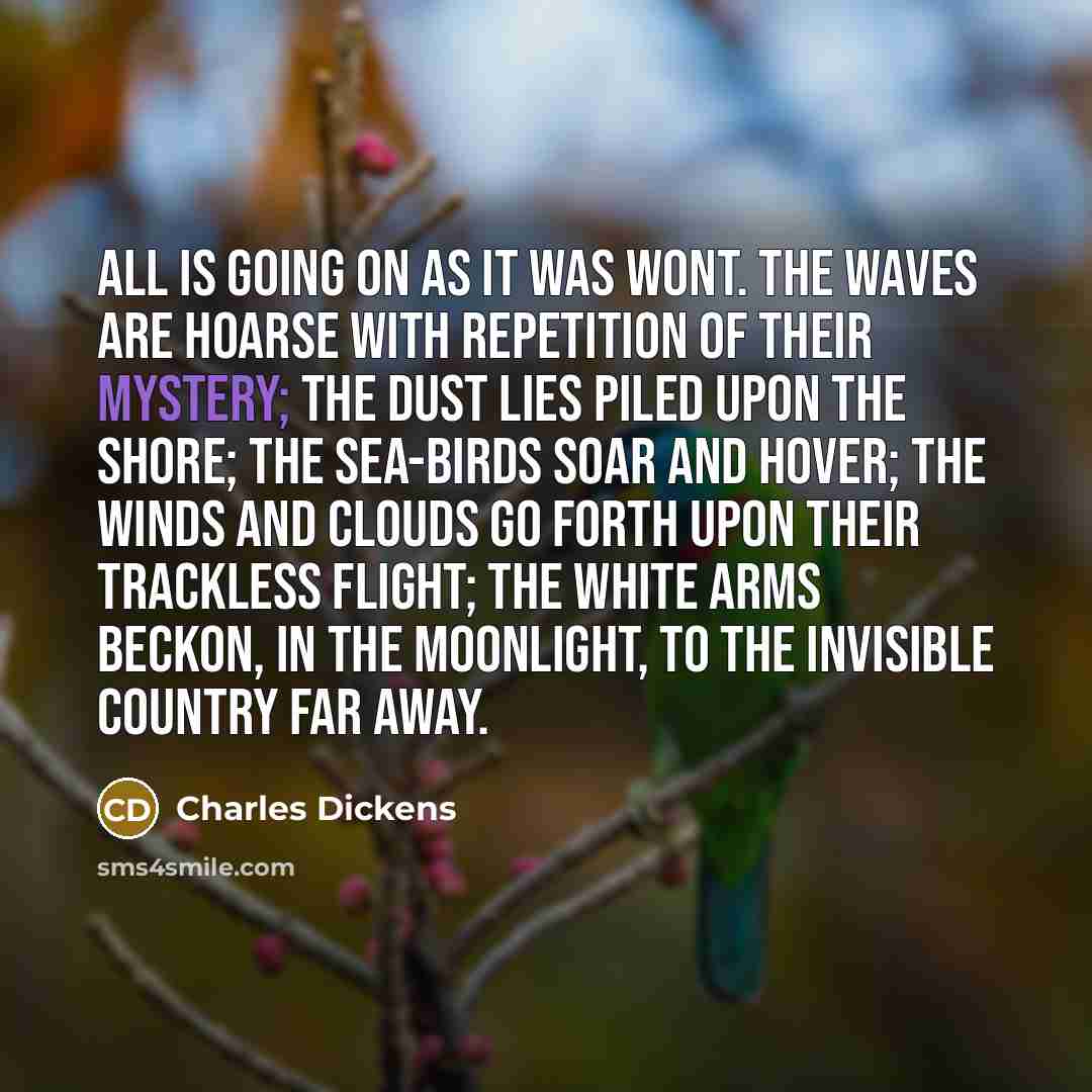 “All is going on as it was wont. The waves…” quote by Charles Dickens