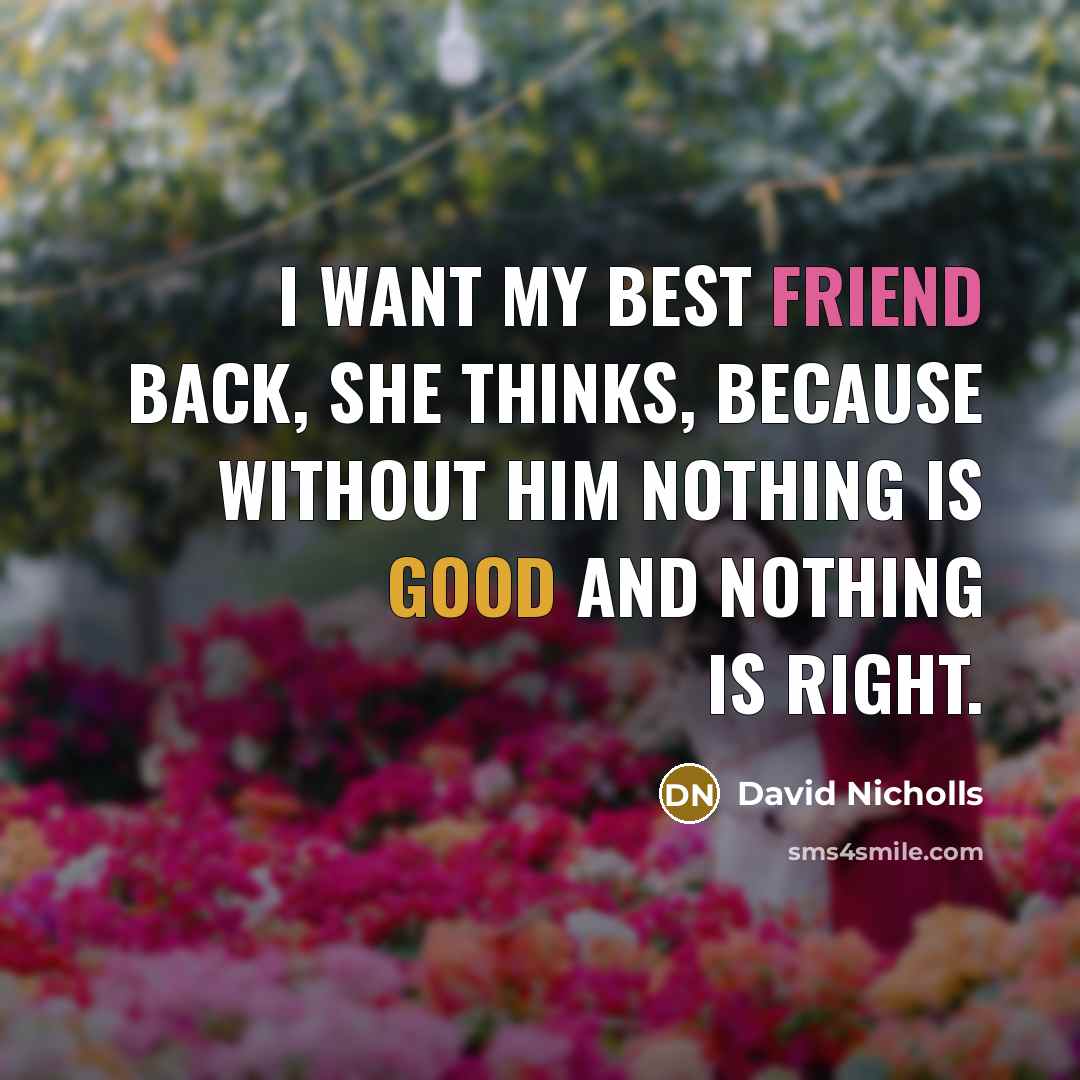“I want my best friend back, she thinks, because without…” quote by David Nicholls