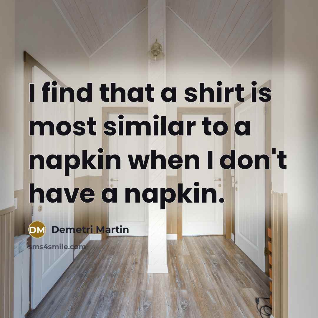 “I find that a shirt is most similar to a…” quote by Demetri Martin