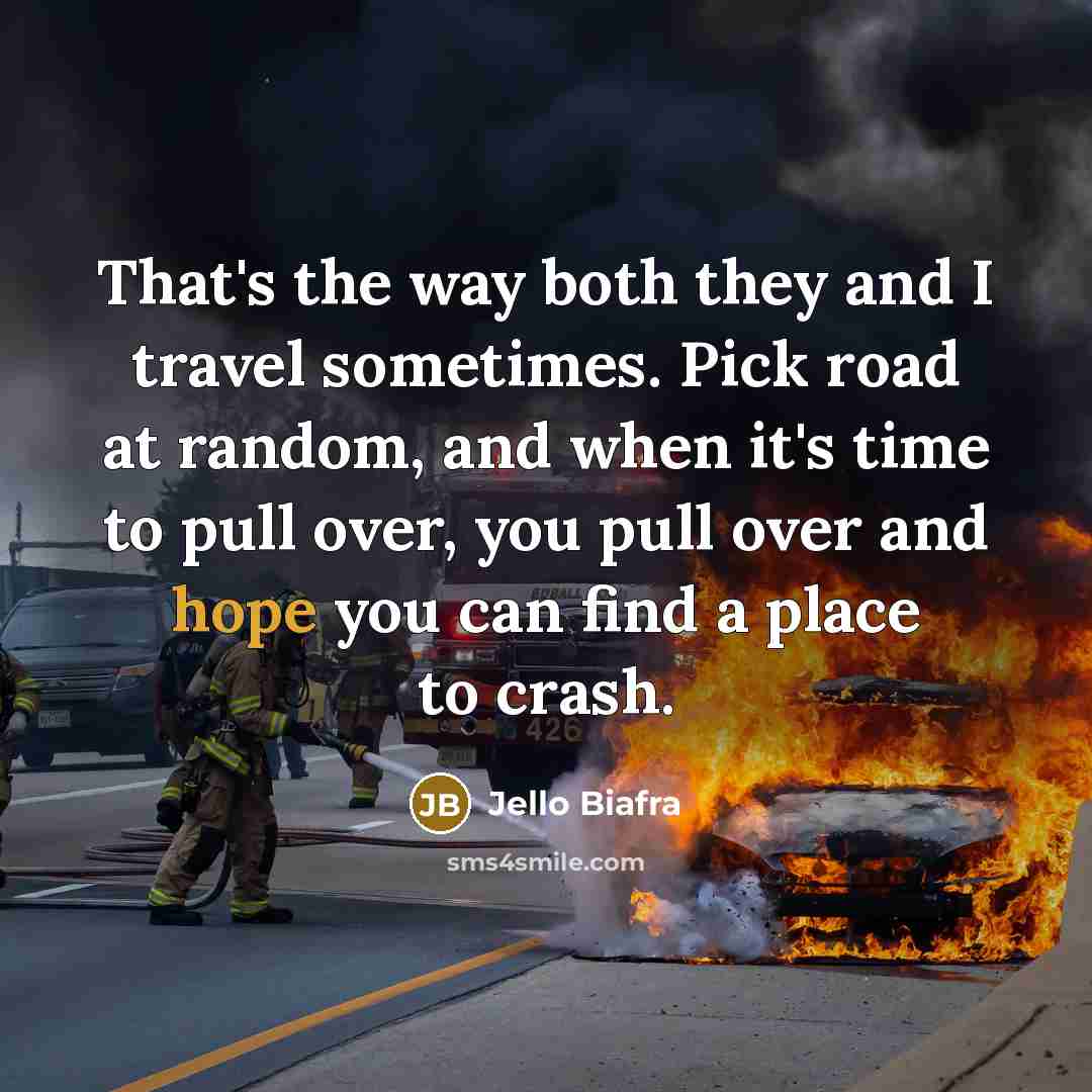 “That's the way both they and I travel sometimes. Pick…” quote by Jello Biafra