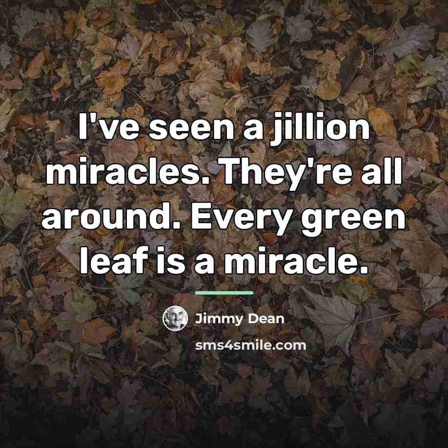 “I've seen a jillion miracles. They're all around. Every green…” quote by Jimmy Dean