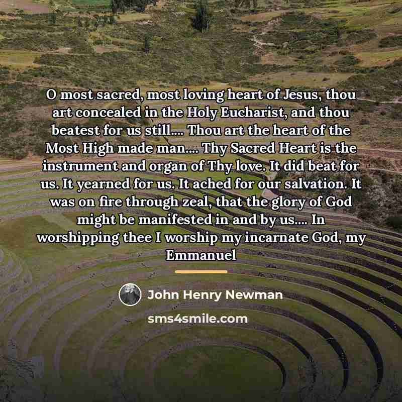 “O most sacred, most loving heart of Jesus, thou art…” quote by John Henry Newman