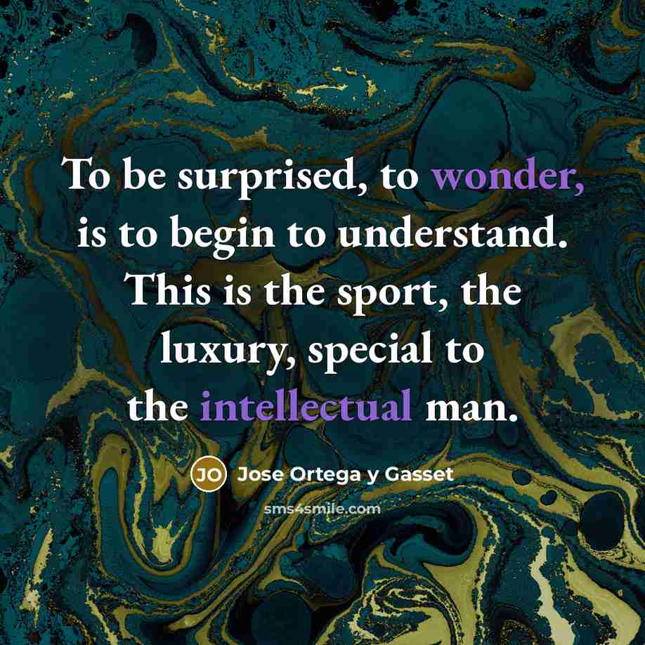 “To be surprised, to wonder, is to begin to understand.…” quote by Jose Ortega y Gasset