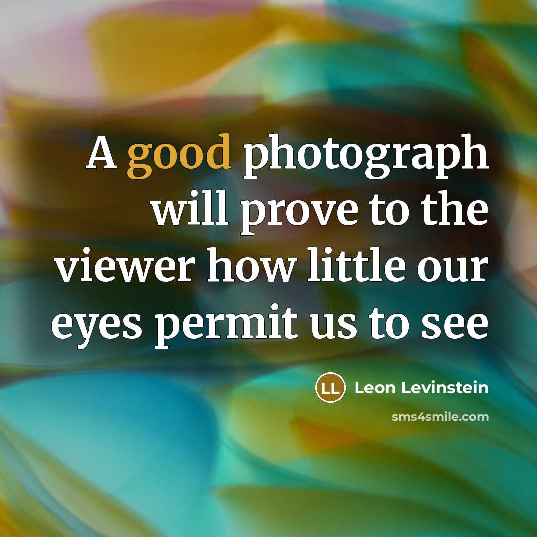 “A good photograph will prove to the viewer how little…” quote by Leon Levinstein