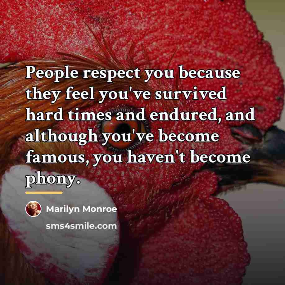 “People respect you because they feel you've survived hard times…” quote by Marilyn Monroe