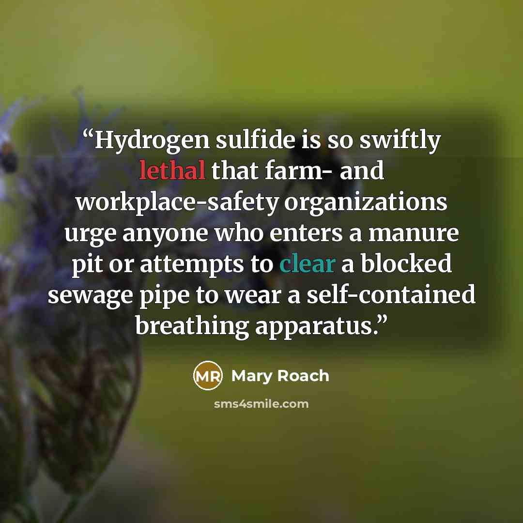 “Hydrogen sulfide is so swiftly lethal that farm- and workplace-safety organizations urge anyone who enters a manure pit or attempts to clear a blocked sewage pipe to wear a self-contained breathing apparatus.” quote by Mary Roach