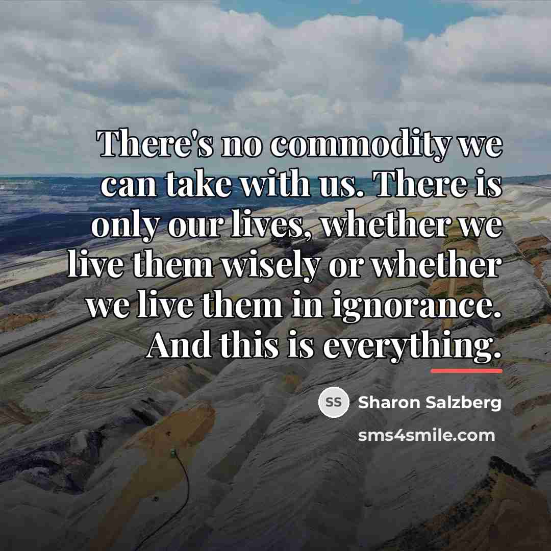 “There's no commodity we can take with us. There is…” quote by Sharon Salzberg