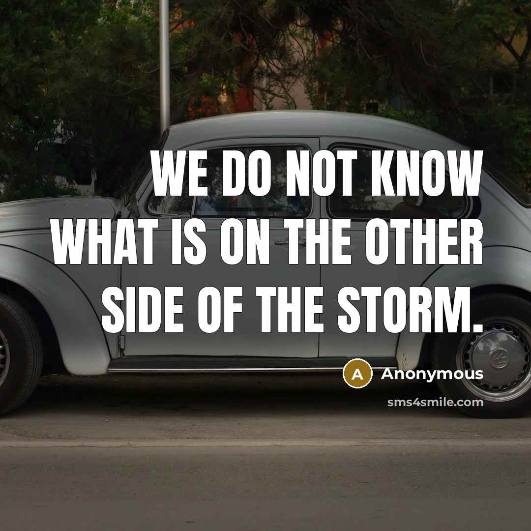 “We do not know what is on the other side of the storm.” quote by Anonymous