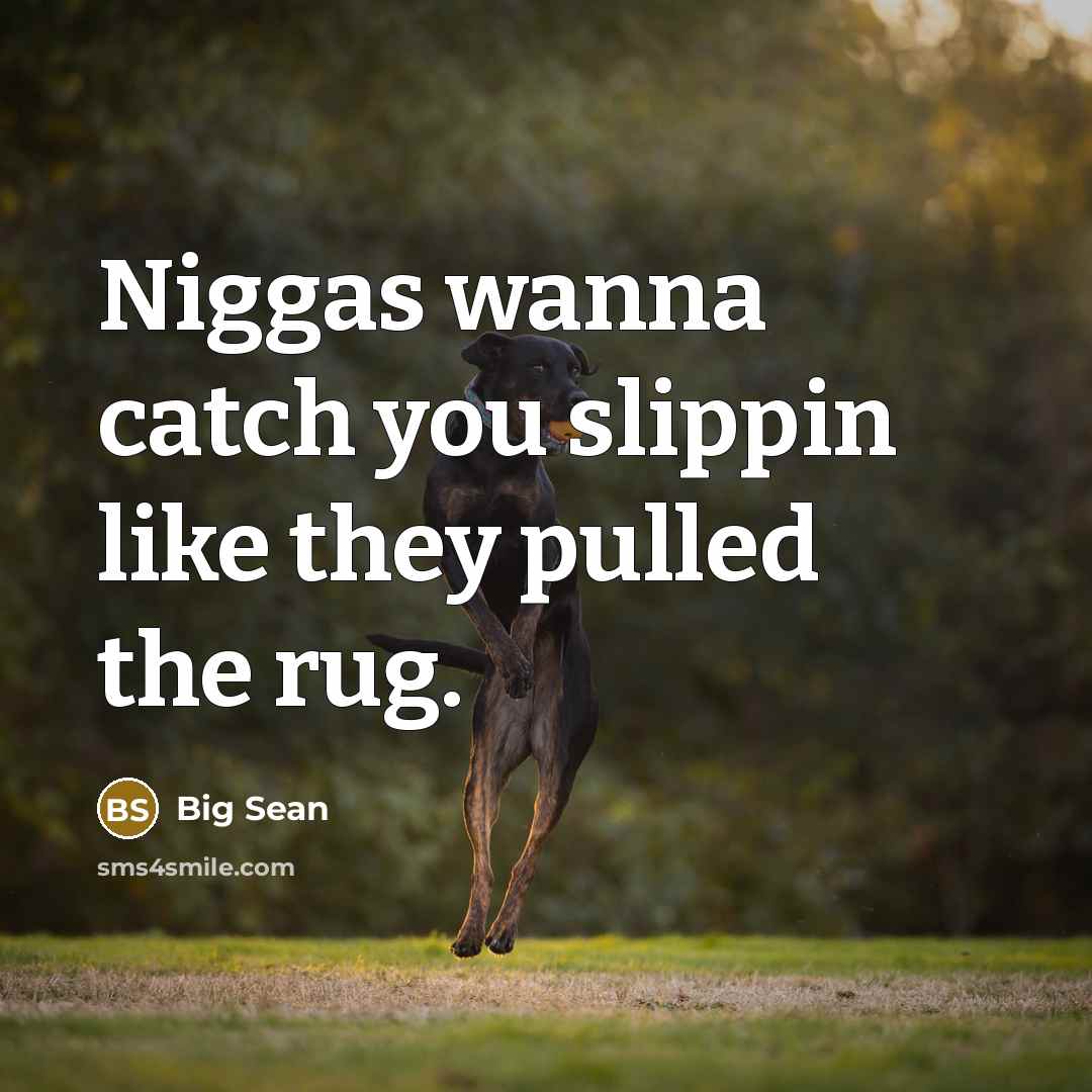 “Niggas wanna catch you slippin like they pulled the rug.…” quote by Big Sean