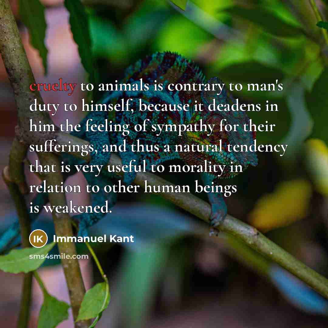 “cruelty to animals is contrary to man's duty to himself,…” quote by Immanuel Kant