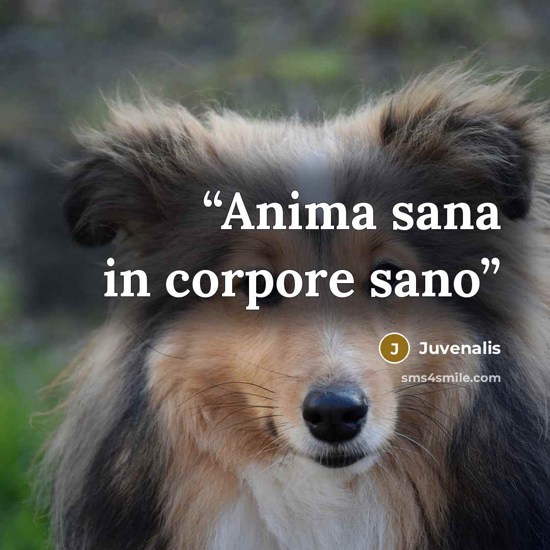 “Anima sana in corpore sano” quote by Juvenalis