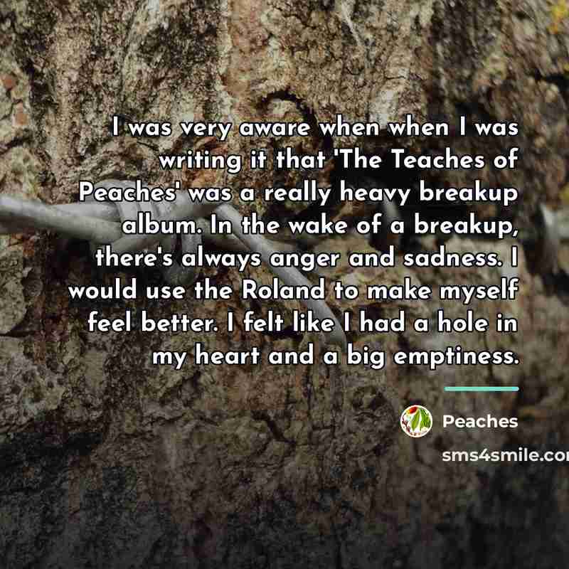 “I was very aware when when I was writing it…” quote by Peaches