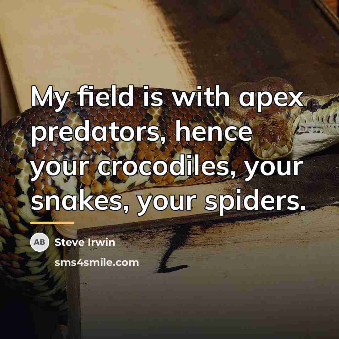 “My field is with apex predators, hence your crocodiles, your…” quote by Steve Irwin