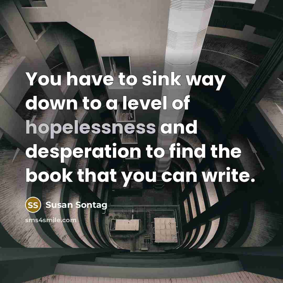 “You have to sink way down to a level of…” quote by Susan Sontag