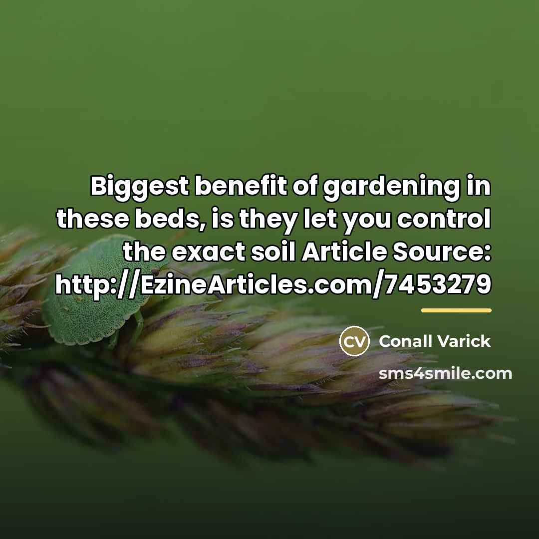 “Biggest benefit of gardening in these beds, is they let…” quote by Conall Varick