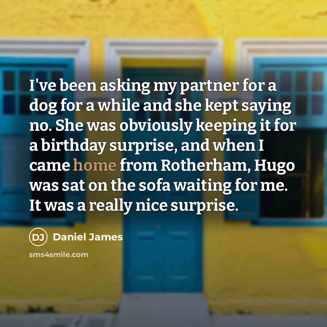 “I've been asking my partner for a dog for a…” quote by Daniel James