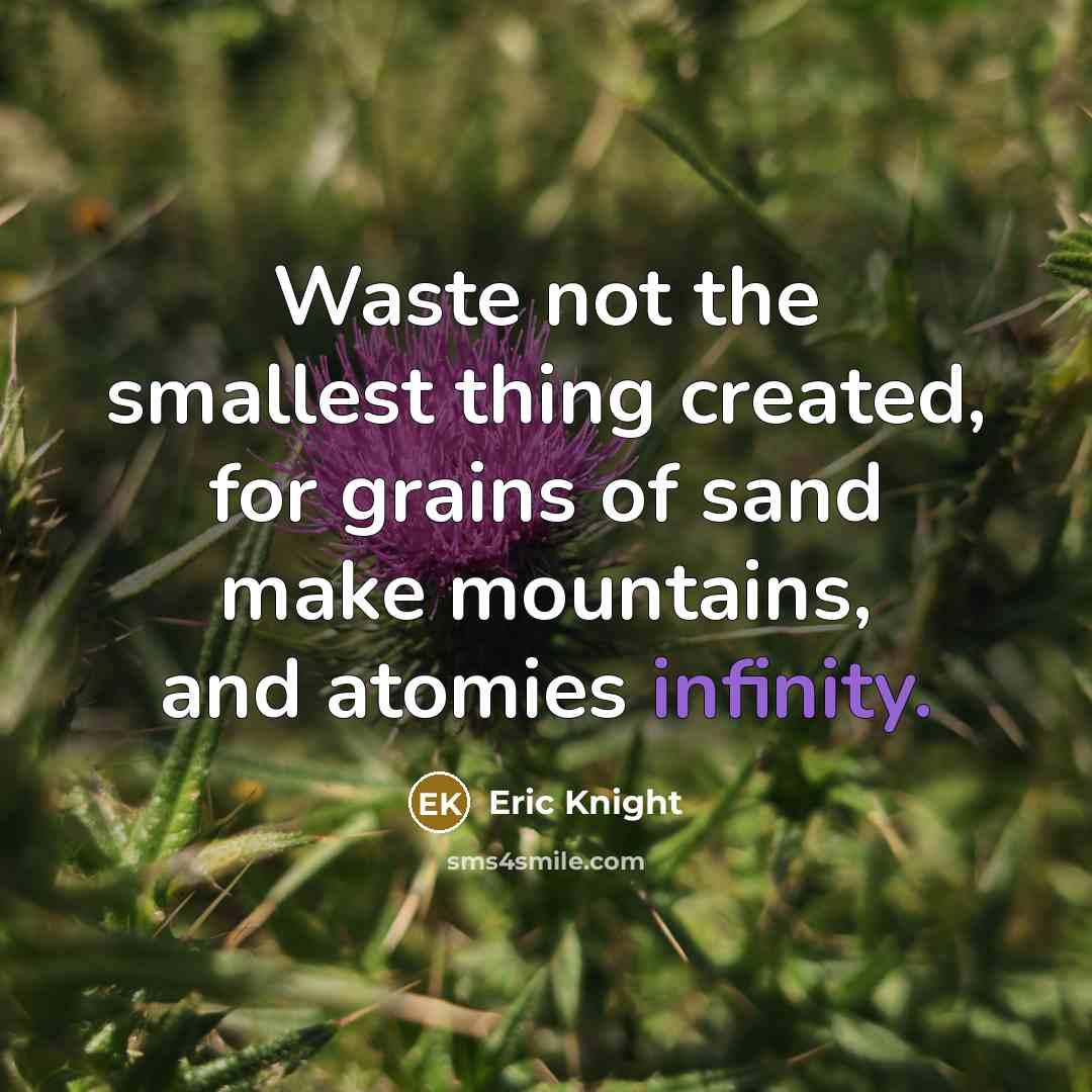 “Waste not the smallest thing created, for grains of sand make mountains, and atomies infinity.” quote by Eric Knight