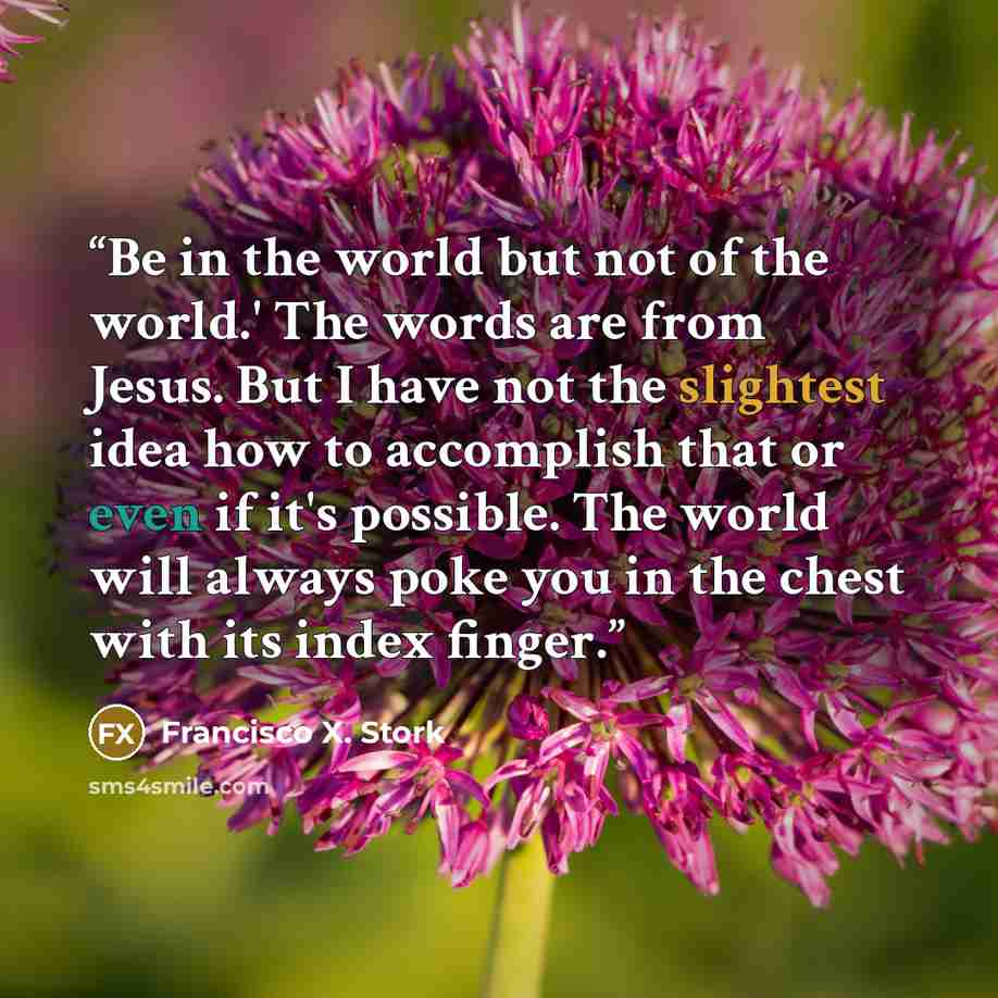 “Be in the world but not of the world.' The words are from Jesus. But I have not the slightest idea how to accomplish that or even if it's possible. The world will always poke you in the chest with its index finger.” quote by Francisco X. Stork
