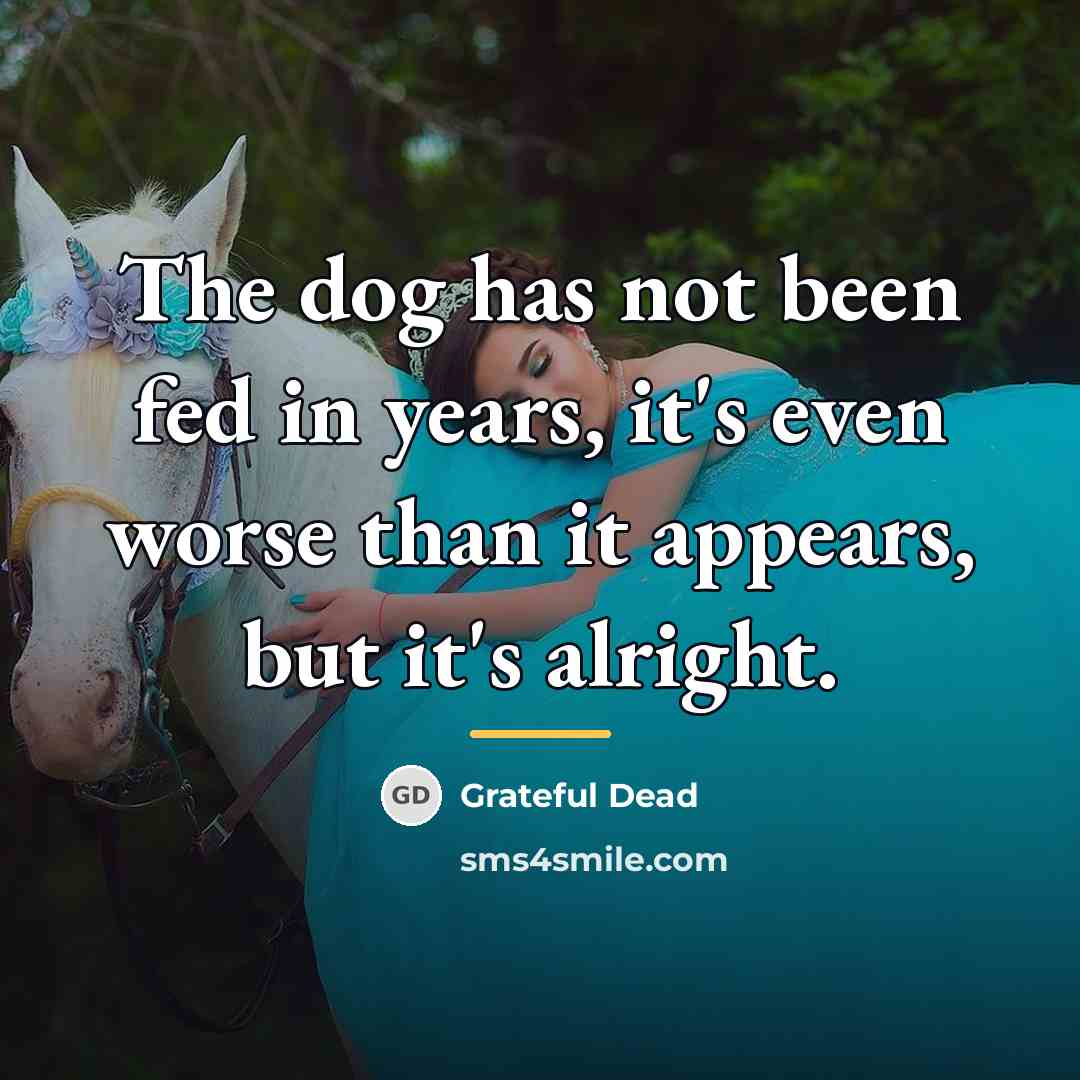 “The dog has not been fed in years, it's even…” quote by Grateful Dead