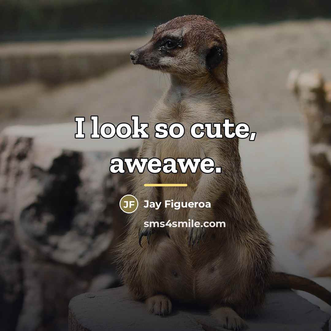 “I look so cute, aweawe.…” quote by Jay Figueroa