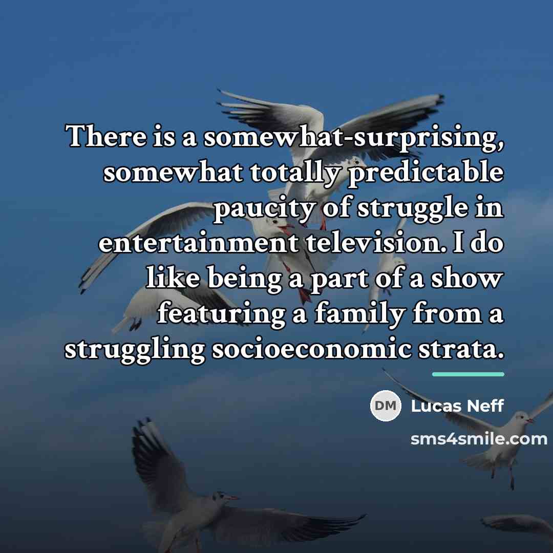 “There is a somewhat-surprising, somewhat totally predictable paucity of struggle…” quote by Lucas Neff