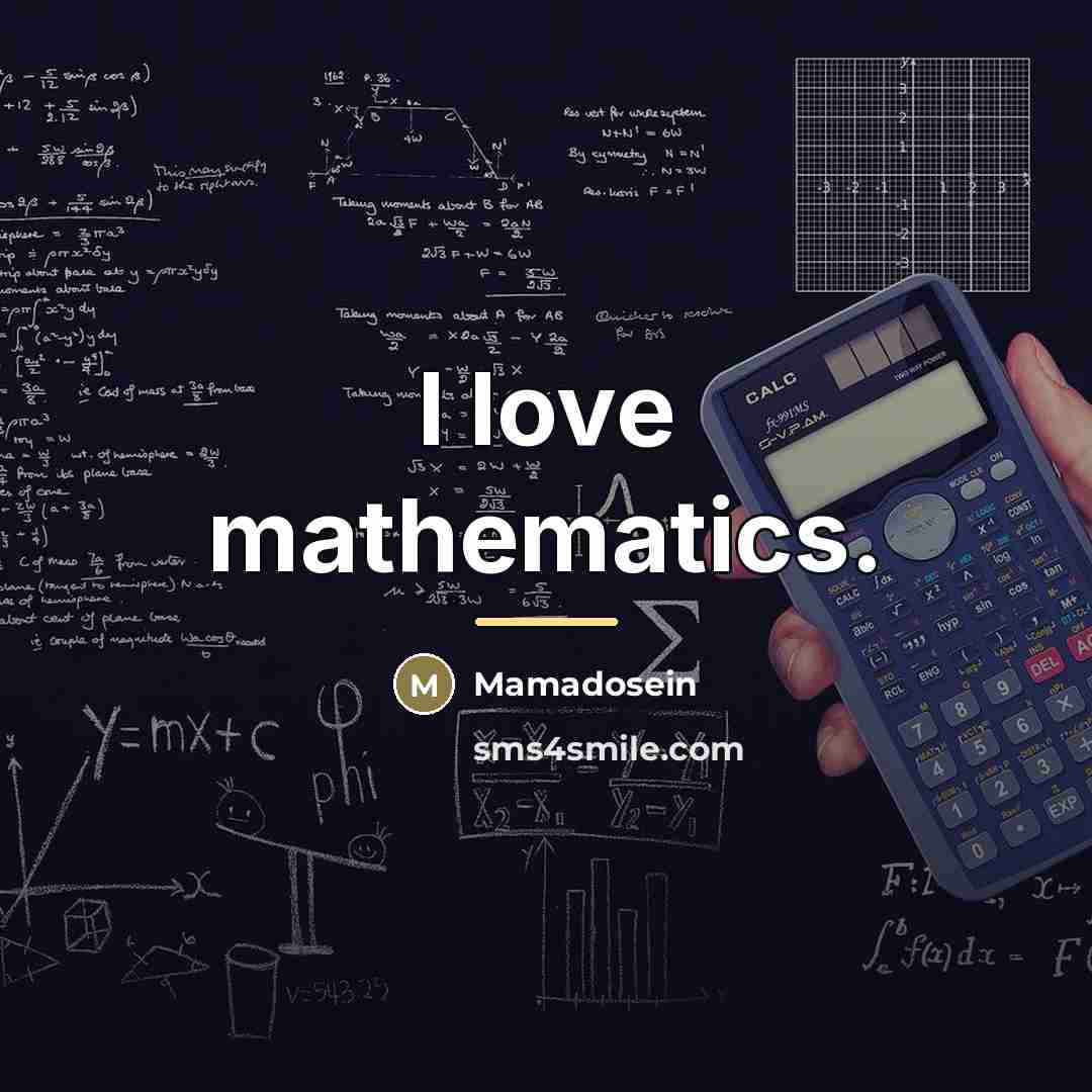 “I love mathematics.…” quote by Mamadosein