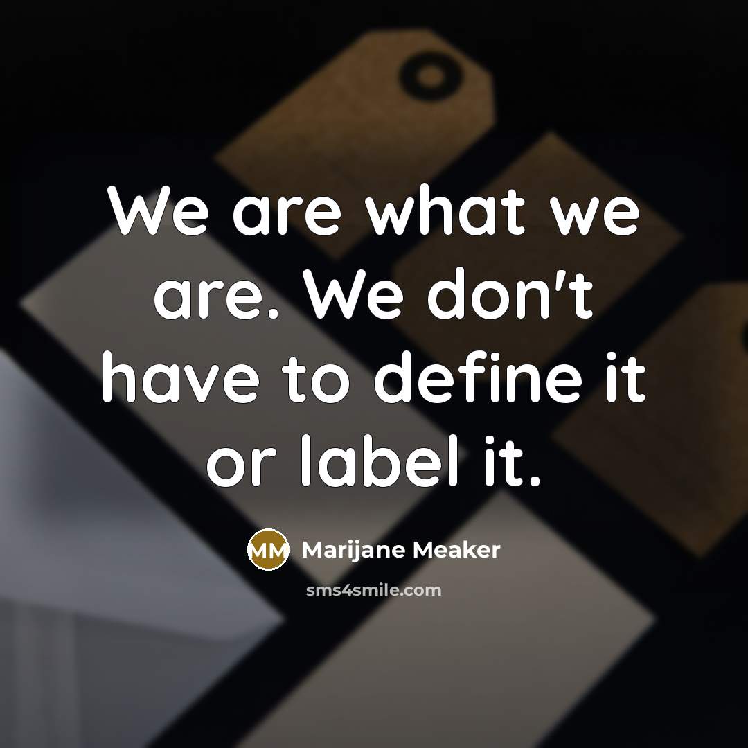 “We are what we are. We don't have to define…” quote by Marijane Meaker