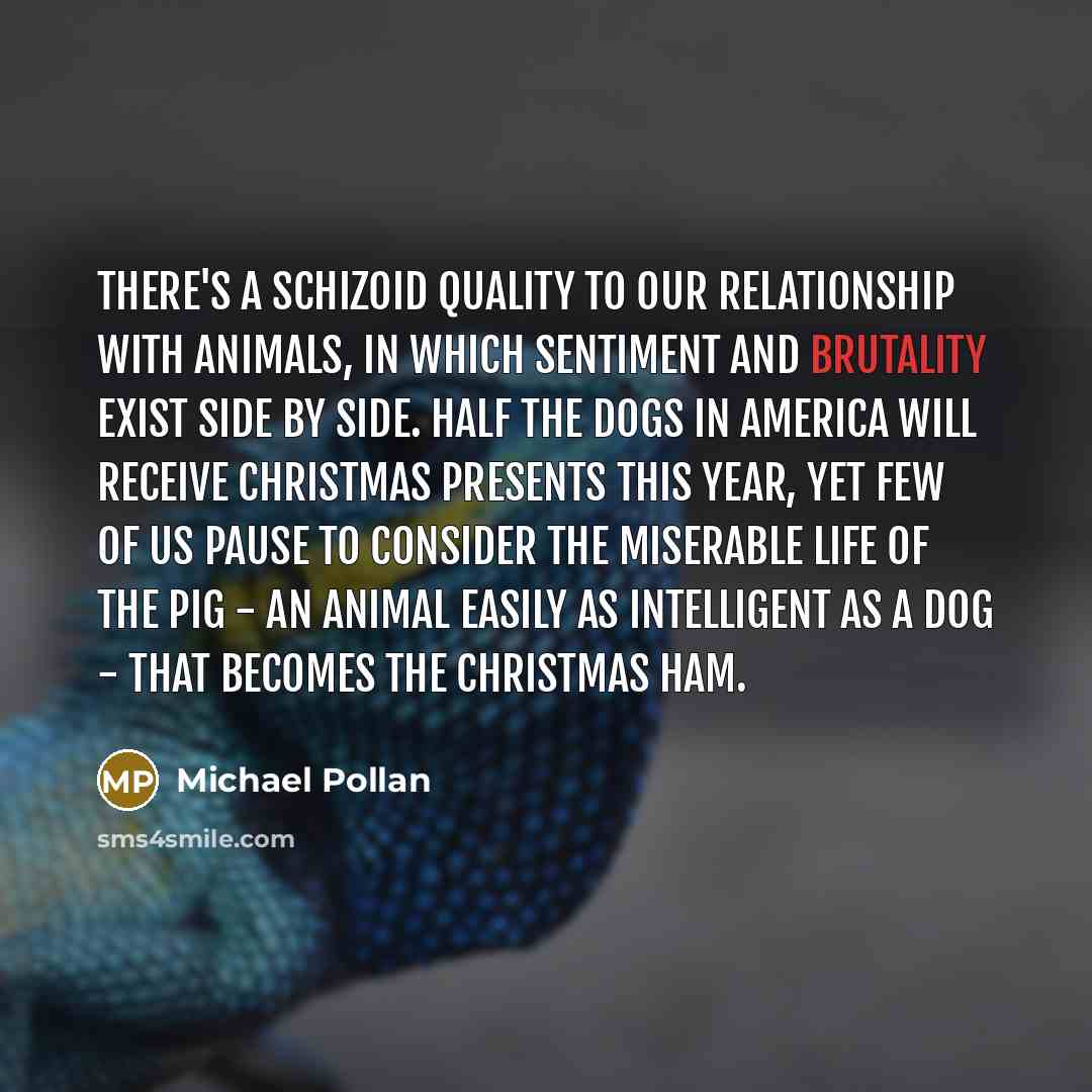 “There's a schizoid quality to our relationship with animals, in…” quote by Michael Pollan