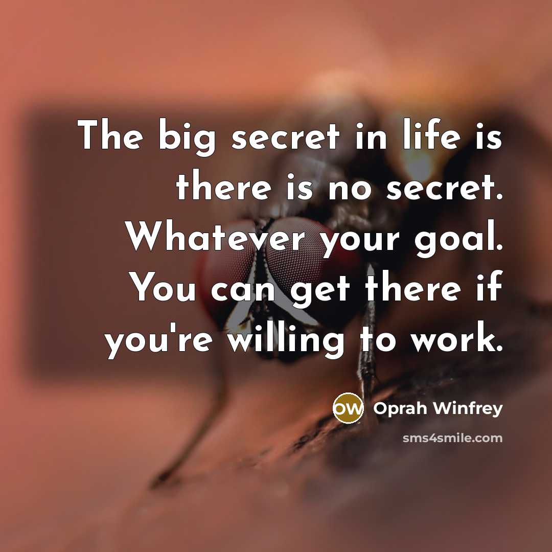 “The big secret in life is there is no secret.…” quote by Oprah Winfrey