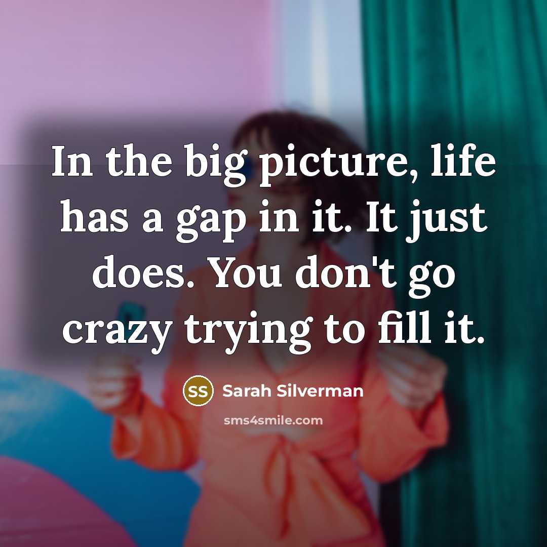 “In the big picture, life has a gap in it.…” quote by Sarah Silverman