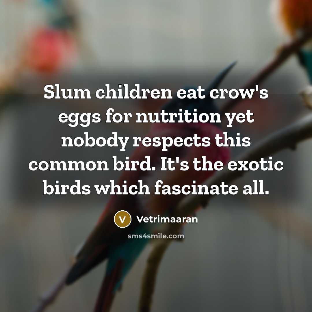 “Slum children eat crow's eggs for nutrition yet nobody respects…” quote by Vetrimaaran