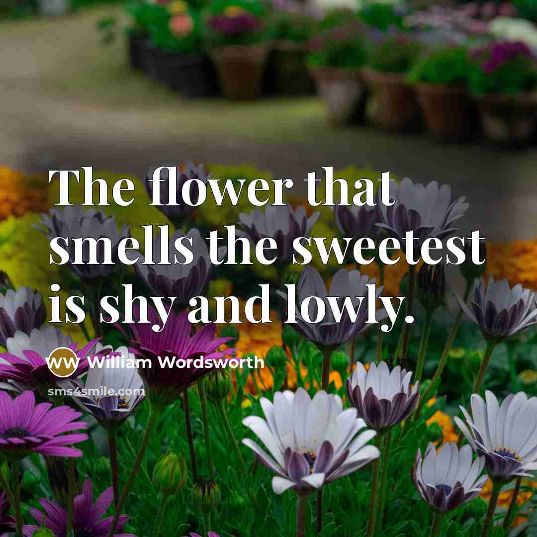 “The flower that smells the sweetest is shy and lowly.…” quote by William Wordsworth
