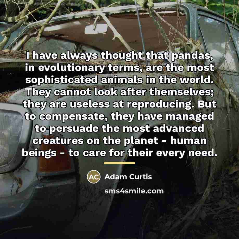 “I have always thought that pandas, in evolutionary terms, are…” quote by Adam Curtis