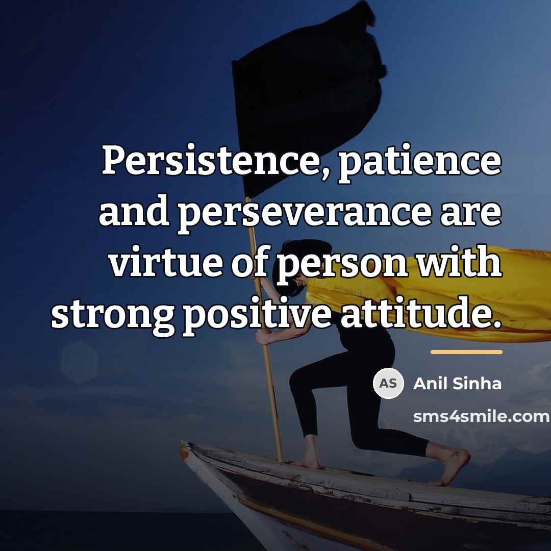 “Persistence, patience and perseverance are virtue of person with strong…” quote by Anil Sinha