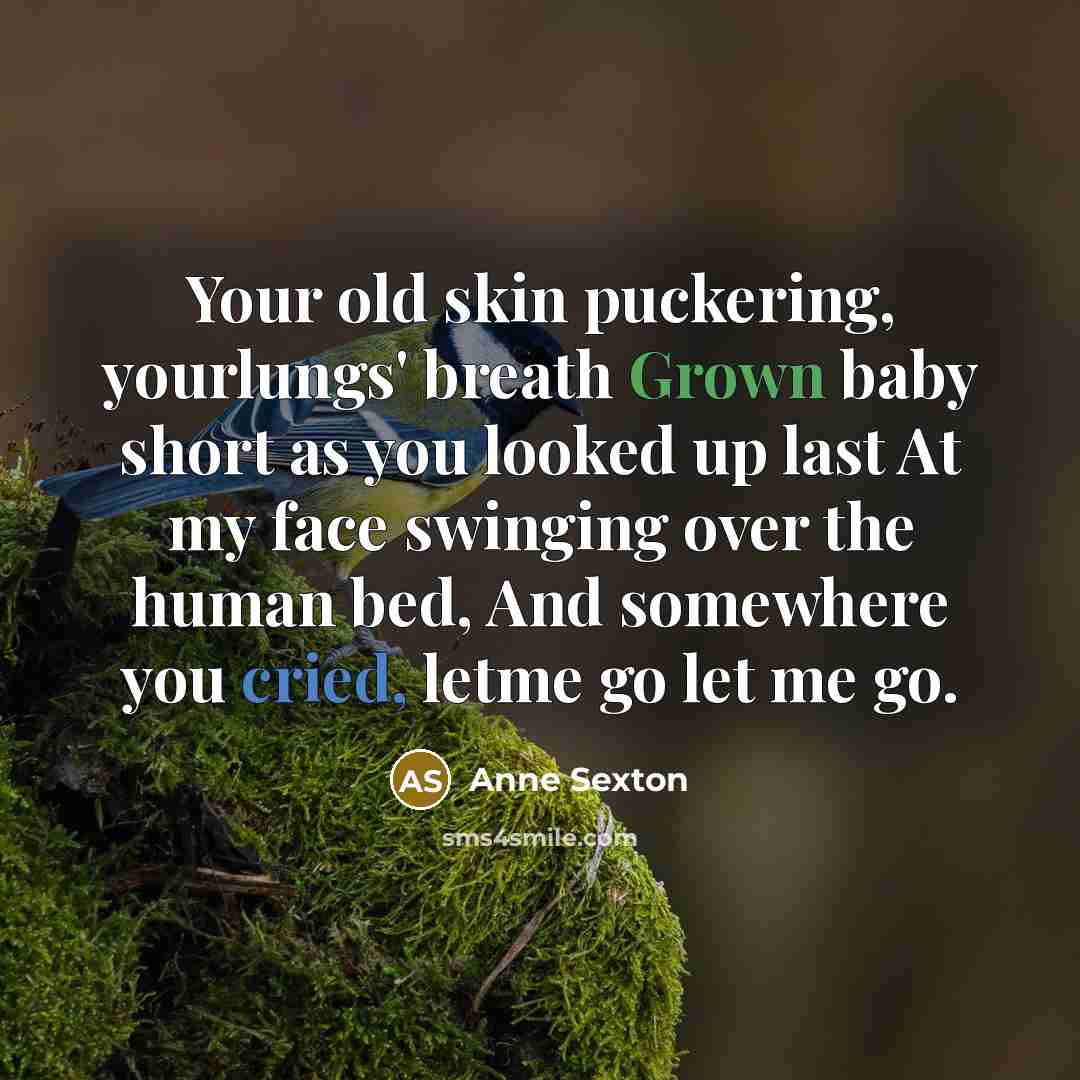 “Your old skin puckering, yourlungs' breath Grown baby short as you looked up last At my face swinging over the human bed, And somewhere you cried, letme go let me go.” quote by Anne Sexton