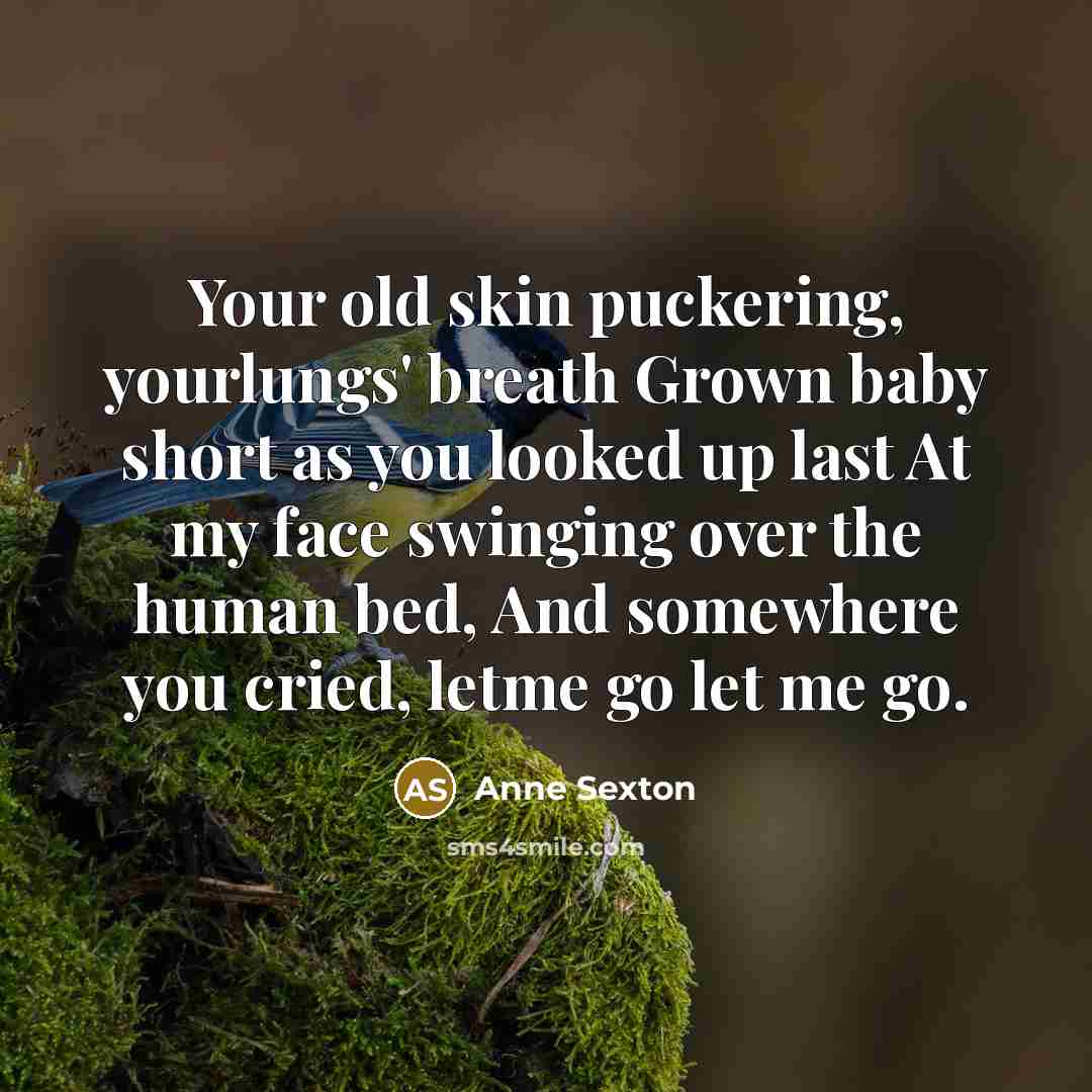 “Your old skin puckering, yourlungs' breath Grown baby short as…” quote by Anne Sexton