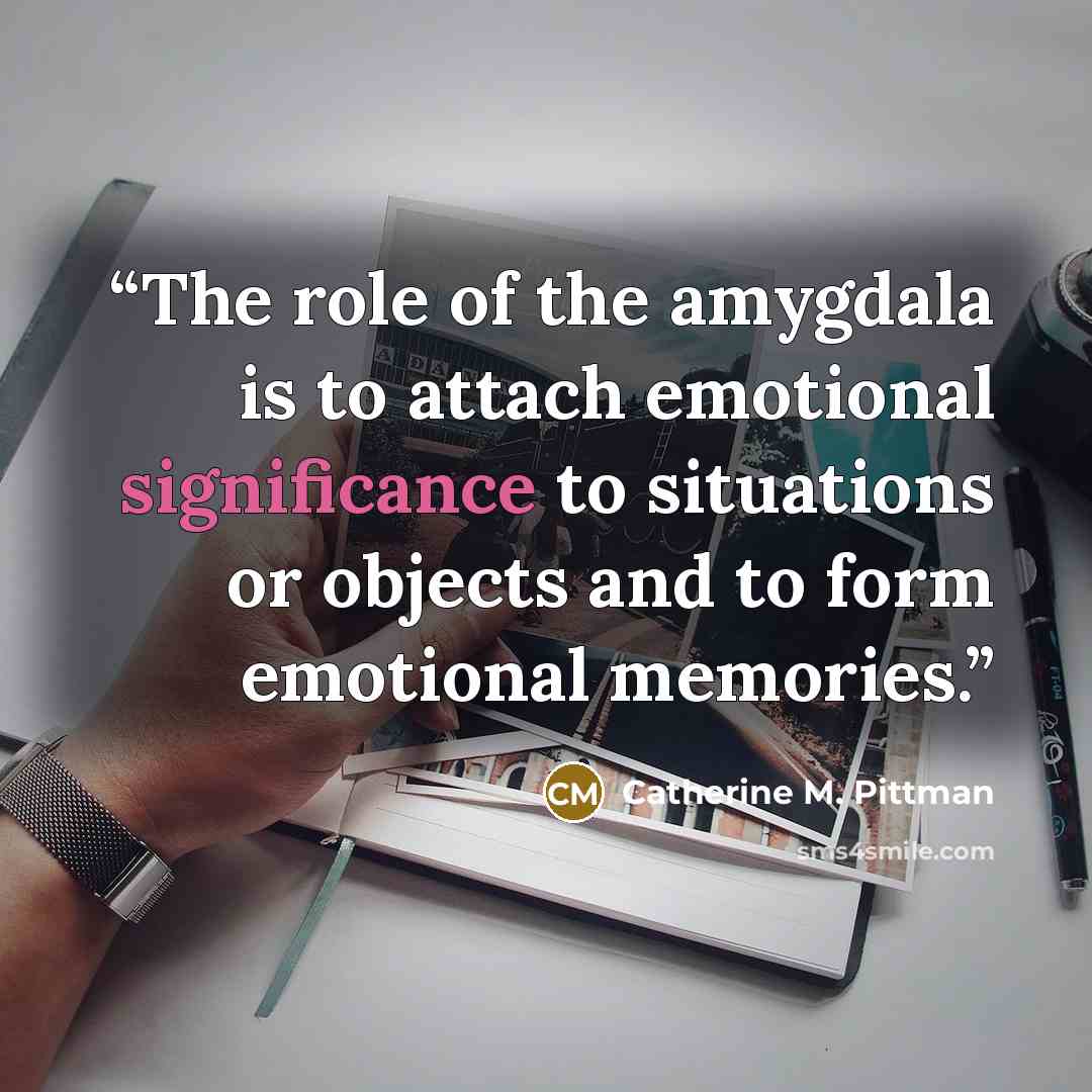 “The role of the amygdala is to attach emotional significance to situations or objects and to form emotional memories.” quote by Catherine M. Pittman