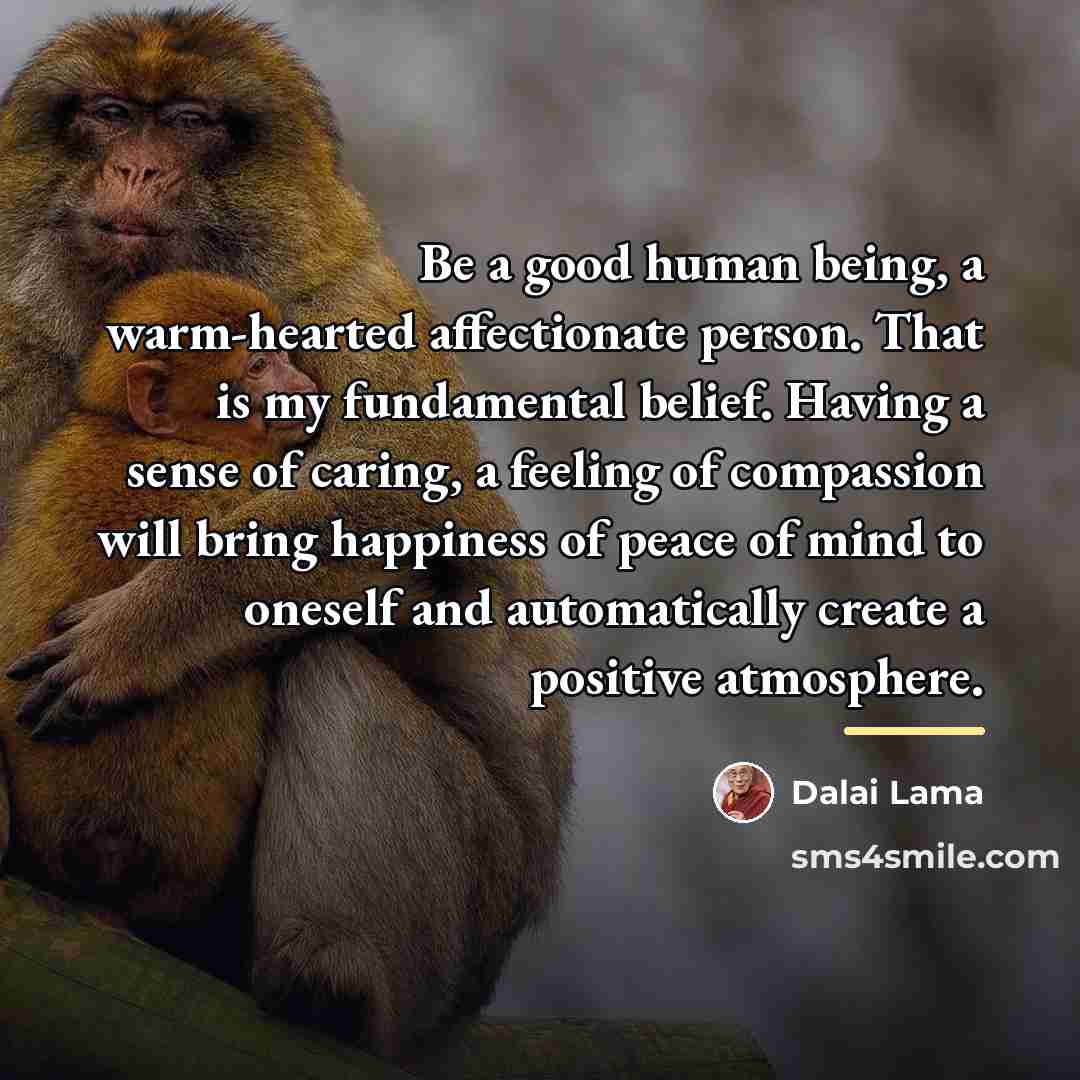 “Be a good human being, a warm-hearted affectionate person. That…” quote by Dalai Lama